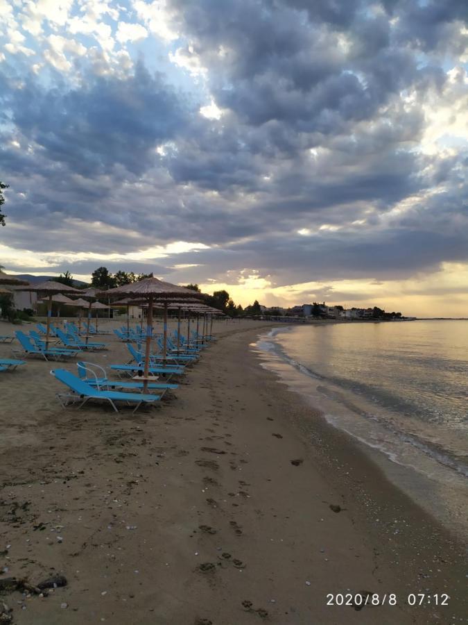 Aegean View Seaside Apartment Kavála Eksteriør bilde